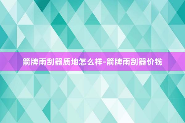 箭牌雨刮器质地怎么样-箭牌雨刮器价钱